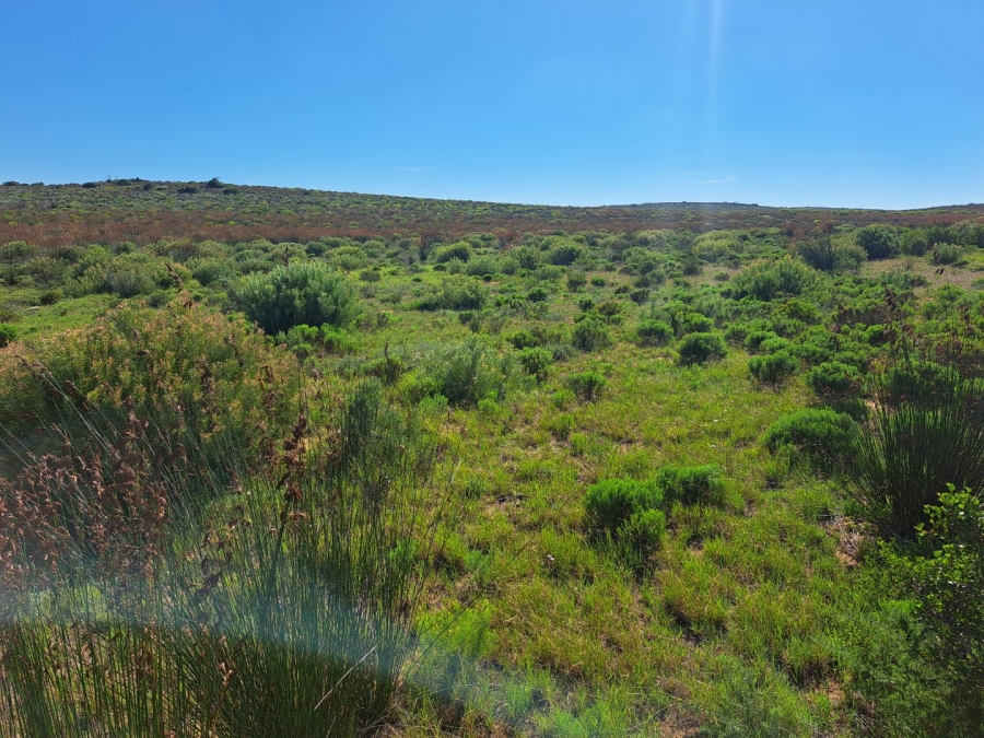  Bedroom Property for Sale in Riversdale Rural Western Cape